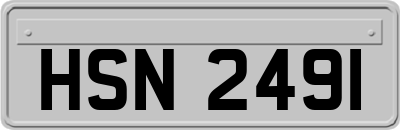 HSN2491