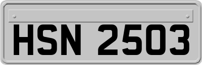 HSN2503