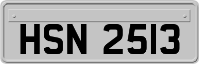 HSN2513