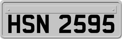 HSN2595