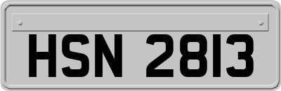 HSN2813