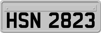 HSN2823