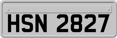 HSN2827