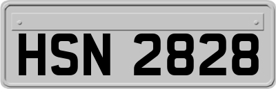 HSN2828