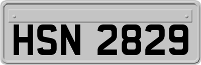 HSN2829