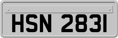 HSN2831