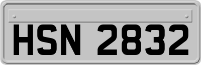 HSN2832