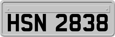HSN2838