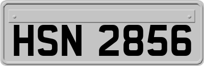 HSN2856
