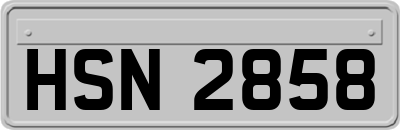 HSN2858