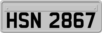 HSN2867