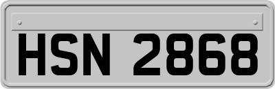 HSN2868
