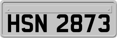 HSN2873