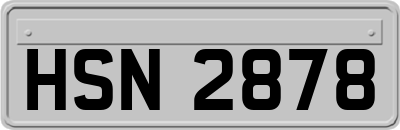 HSN2878