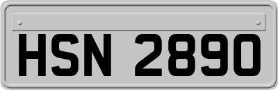 HSN2890