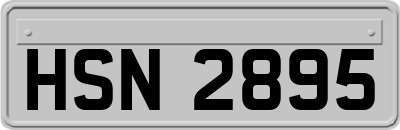 HSN2895