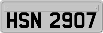 HSN2907