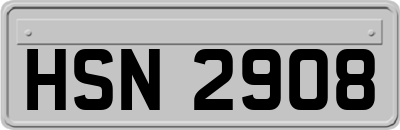 HSN2908