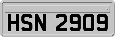 HSN2909