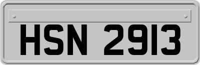 HSN2913