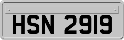HSN2919