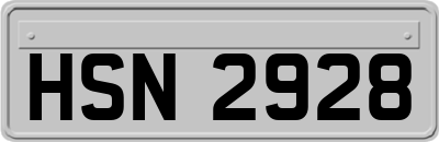 HSN2928