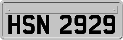 HSN2929