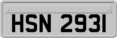 HSN2931