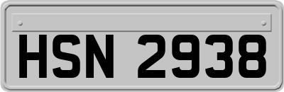 HSN2938