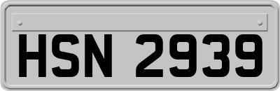 HSN2939