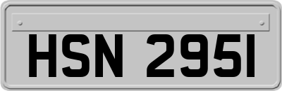 HSN2951