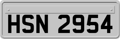HSN2954