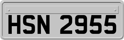 HSN2955