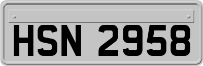 HSN2958
