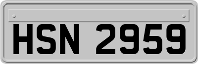 HSN2959