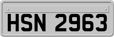 HSN2963