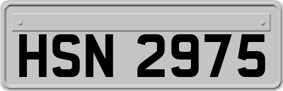 HSN2975