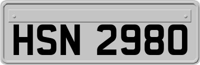 HSN2980