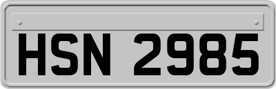 HSN2985