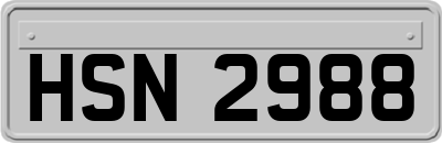 HSN2988