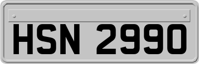 HSN2990