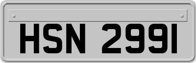 HSN2991