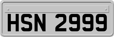 HSN2999