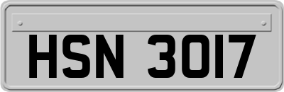 HSN3017