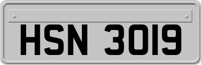 HSN3019