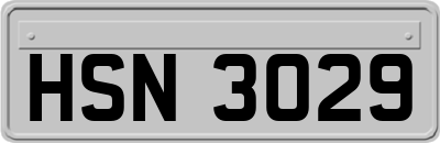 HSN3029