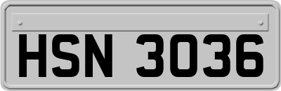HSN3036