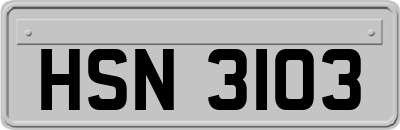 HSN3103
