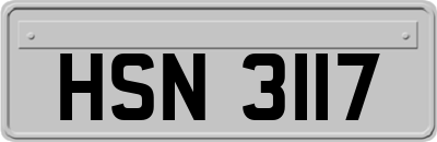 HSN3117