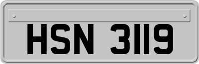 HSN3119